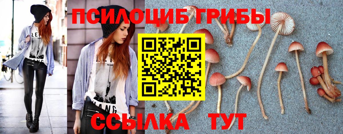 Галлюциногенные грибы прущие грибы  Дубна 