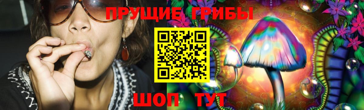 Дубна  Псилоцибиновые грибы Psilocybine cubensis  Вход с VPN 